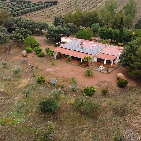 Agroturismo la finka Los Quiles Esterno foto
